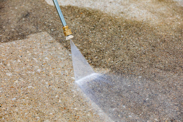Best Roof Cleaning and Mildew Removal in Crothersville, IN